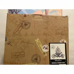 Boule à Neige Mariage De Cendrillon Carrosse Disneyland Paris